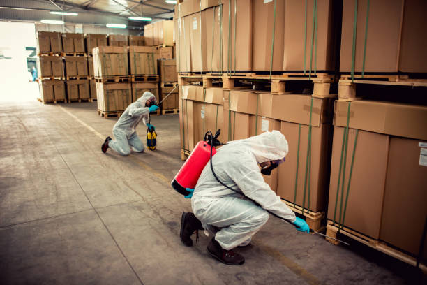 Best Best Pest Control Companies  in Lookout Mountain, GA