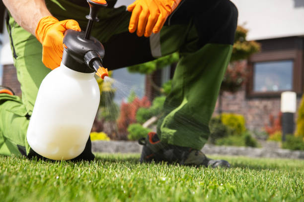 Best Affordable Pest Control Services  in Lookout Mountain, GA