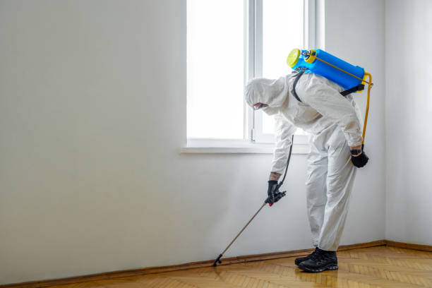 Best Pest Removal Services  in Lookout Mountain, GA