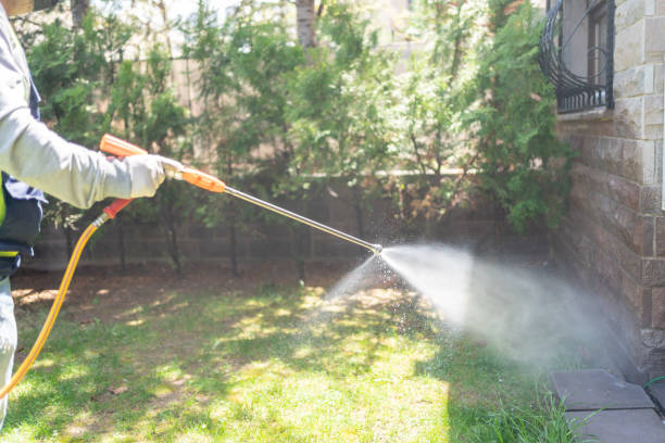 Best Wildlife Control Services  in Lookout Mountain, GA