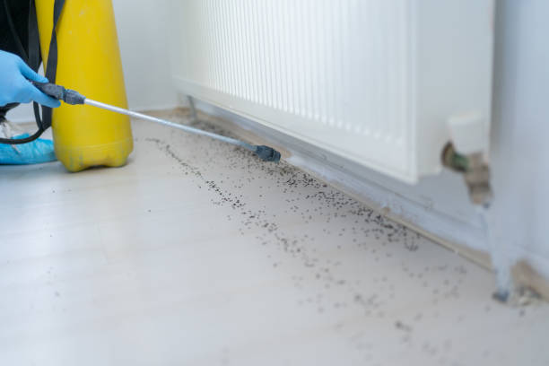 Best Residential Pest Control  in Lookout Mountain, GA