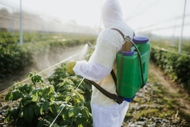 Best Pest Control Treatment  in Lookout Mountain, GA